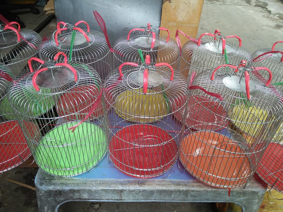 Lồng kẽm nuôi chim sâu