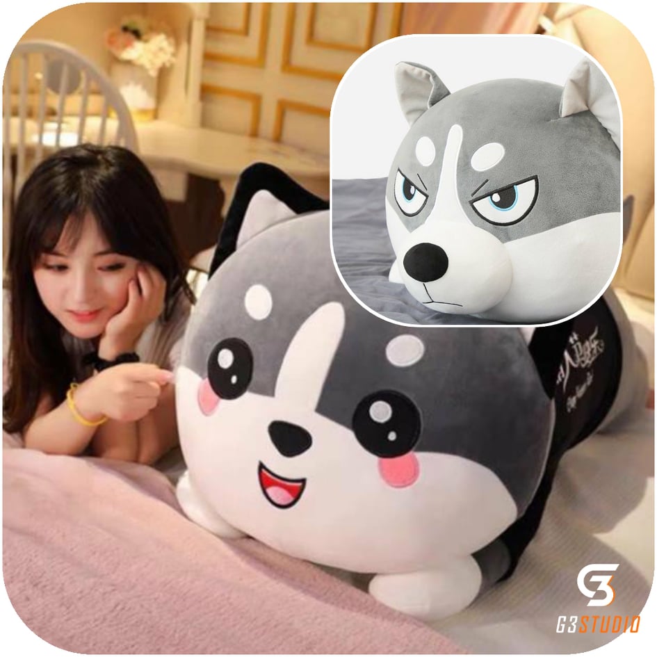 Chó Bông Husky Mèo Bông Husky