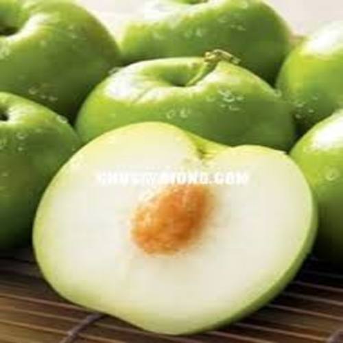 COM BO 2 Cây giống Táo Thái miền Bắc cây giống chuẩn sai quả +Tặng 3 cây chè xanh