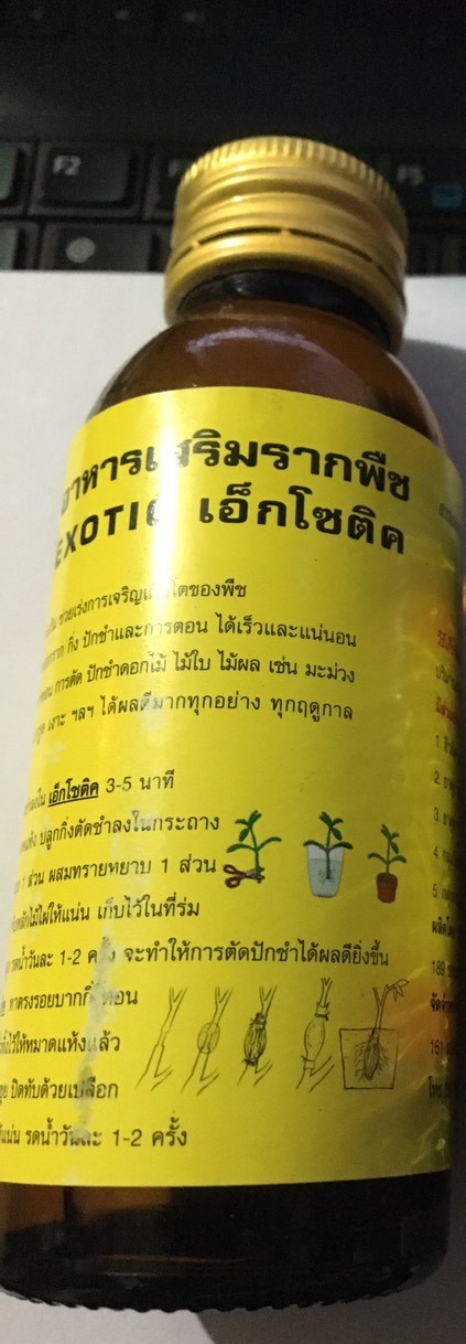 kích rễ Thái Lan CỰC MẠNH EXOTIC lọ 100ml