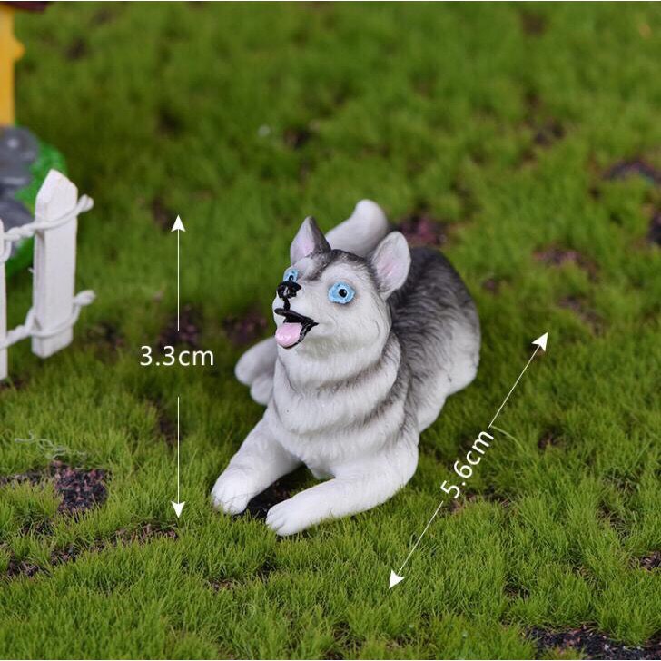 [HCM]Mô hình  Chó Husky trang trí tiểu cảnh thủy sinh terrarium chậu cây cảnh sen đá bánh kem xương rồng