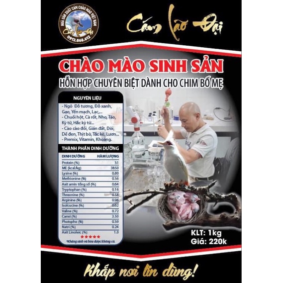 Cám Chào Mào Sinh Sản Lão Đại