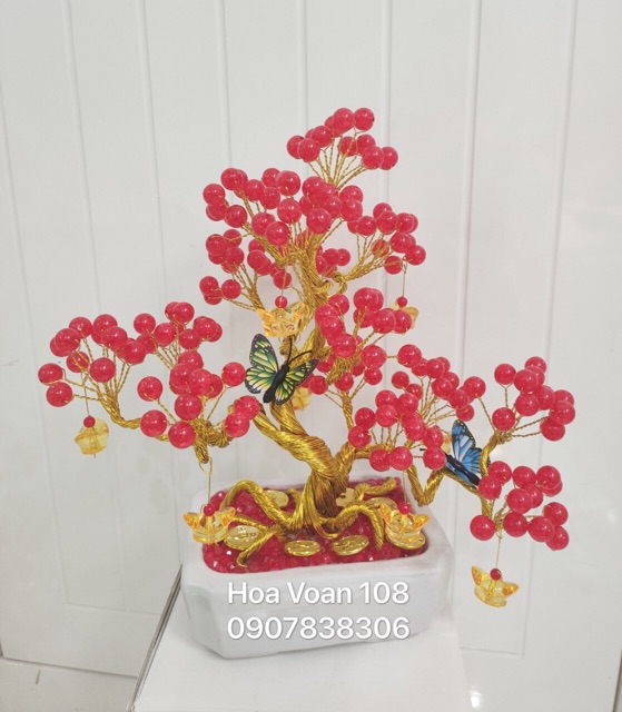 Cây kiểng bằng hột đá cao 30cm