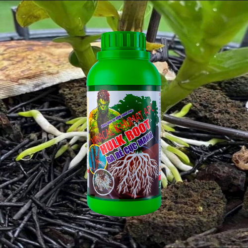 Vườn Xanh, Phân Bón Siêu Ra Rễ Cực Mạnh HULK ROOT 500ml