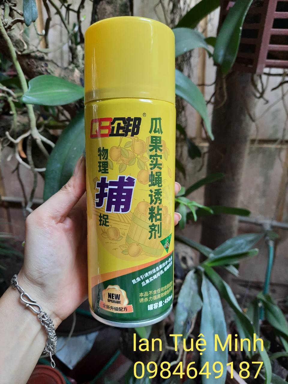 BÌNH XỊT BẪY RUỒI VÀNG, CÔN TRÙNG