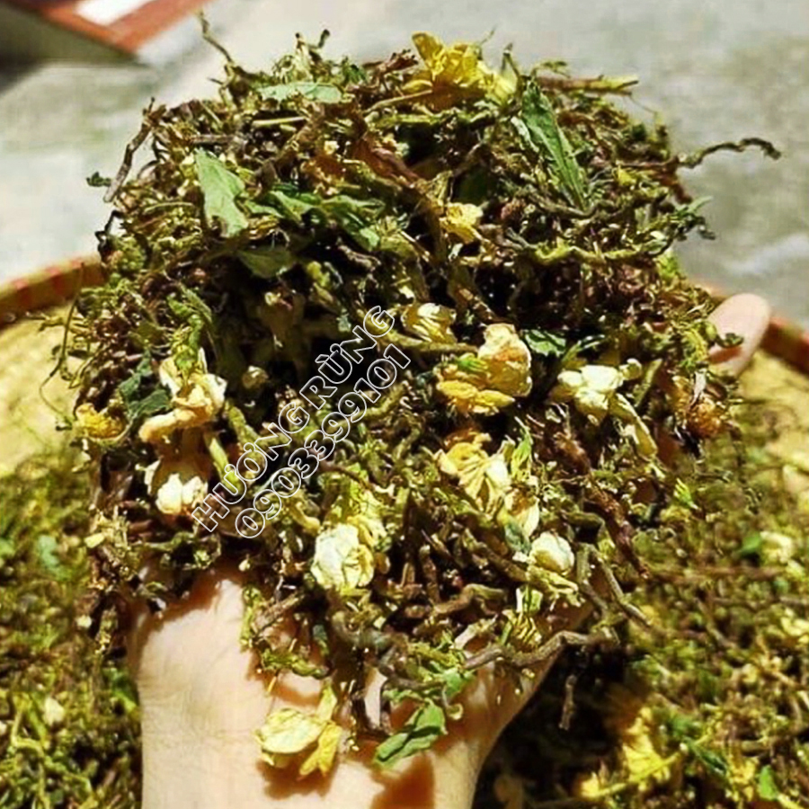 [BÁN CHẠY] Trà sơn mật hồng sâm 1kg loại ngon