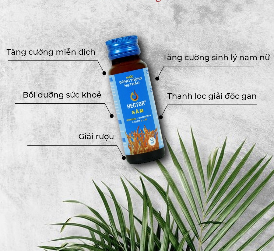 [HCM]Nước Đông Trùng Hạ Thảo Hector Sâm 50ml [Combo 2 Chai]