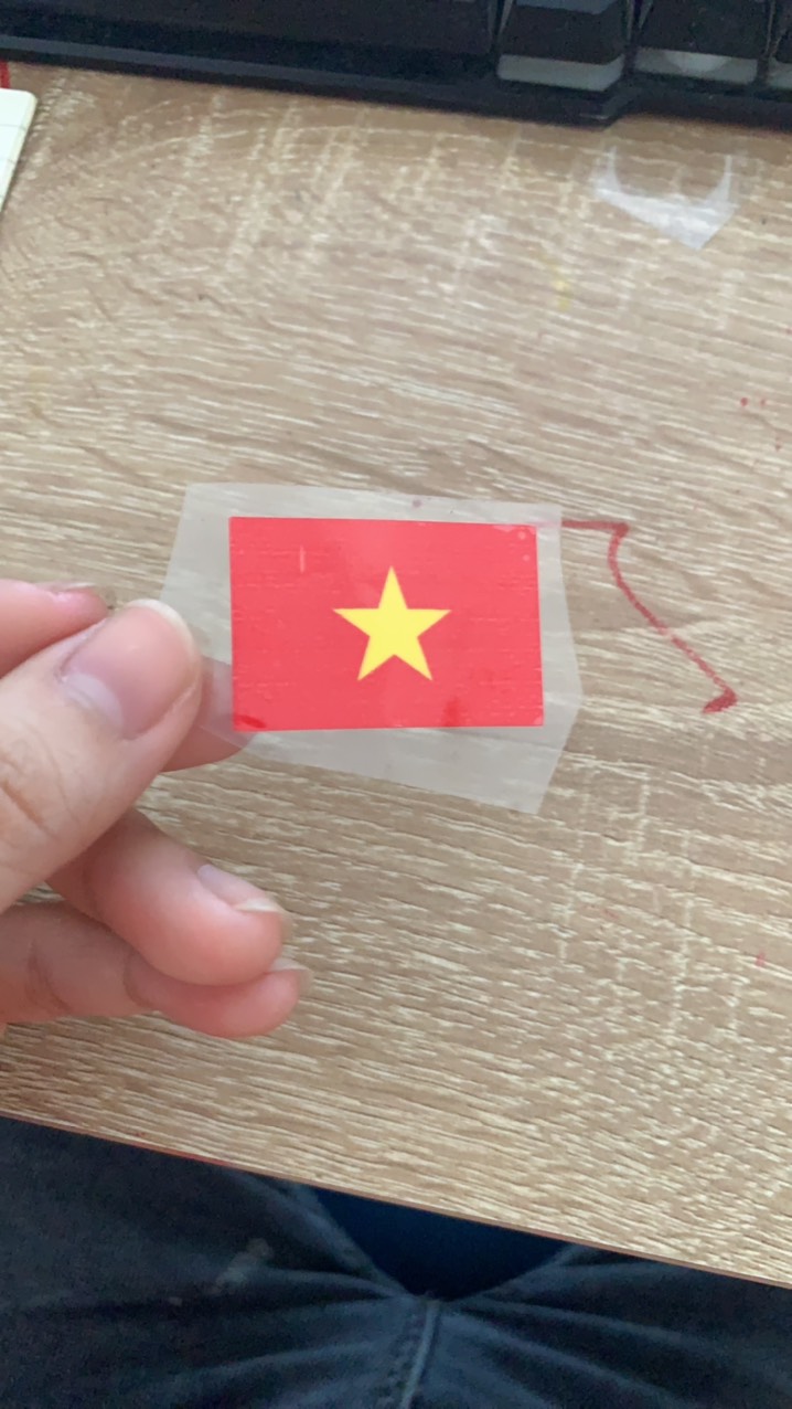 LOGO ủi nhiệt-mẫu logo cờ  đỏ Việt Nam
