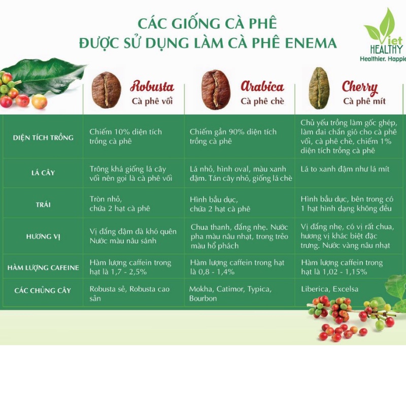 Bột cà phê chỉ có nhân không rang 1kg VietHealthy