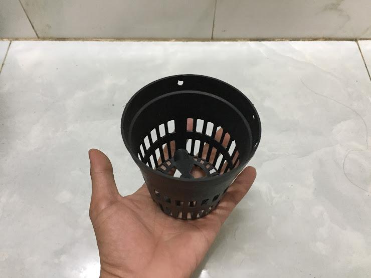 Combo chậu nhựa đen size 10cm-50 cái