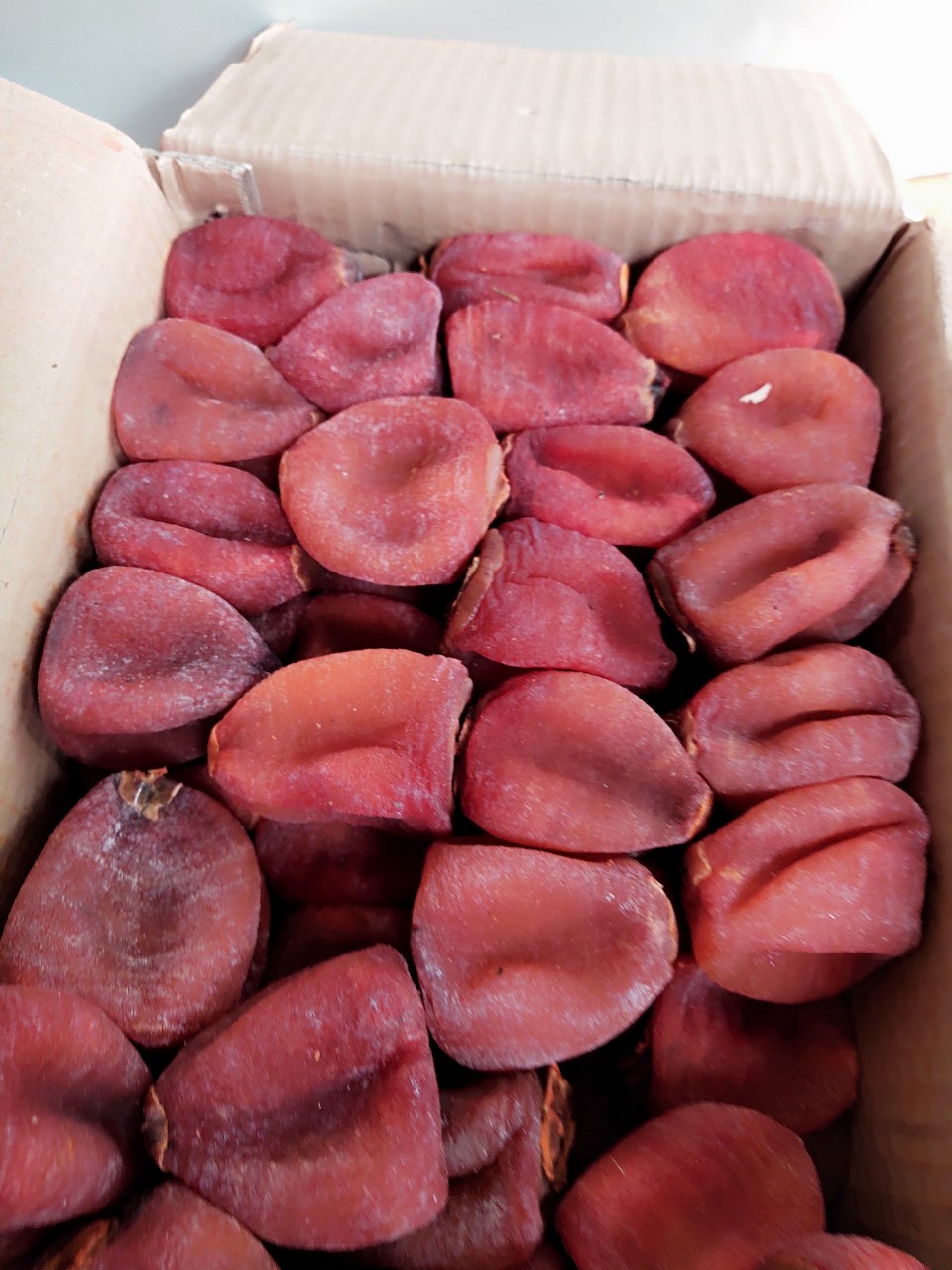[FREESHIP MAX] 1kg hồng treo gió loại ngon [hangdaklak]