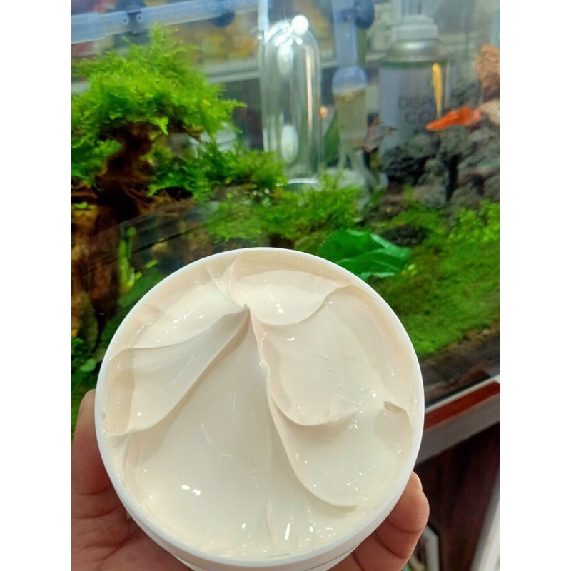 Body Kone Thái Lan mẫu mới