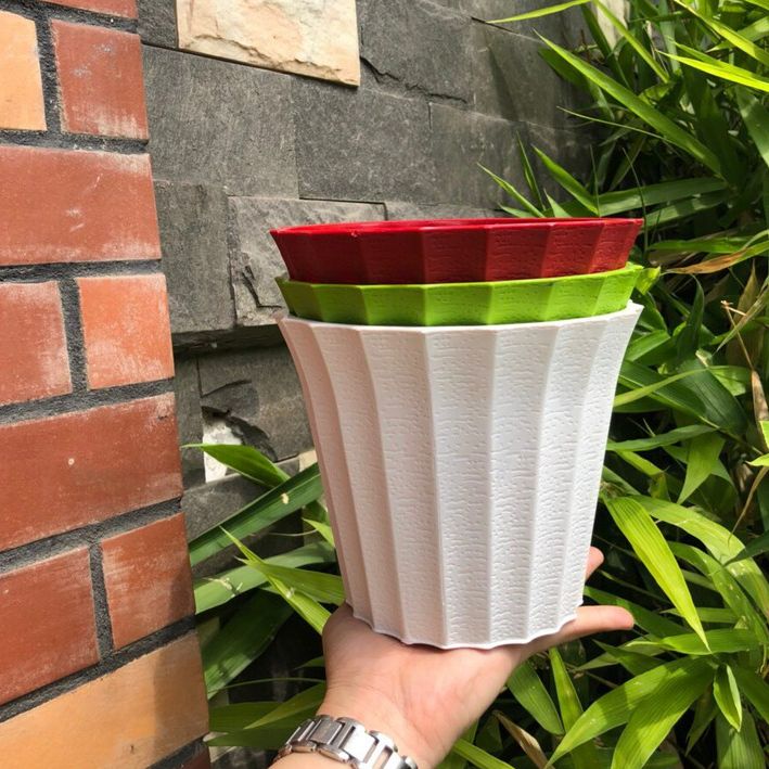 Combo 5 chậu cây cảnh khía tròn 1 tấc 8