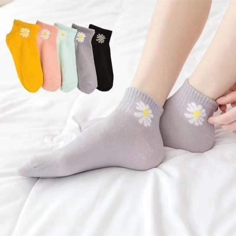 Combo 10 đôi TẤT HOA CÚC HOTTREND