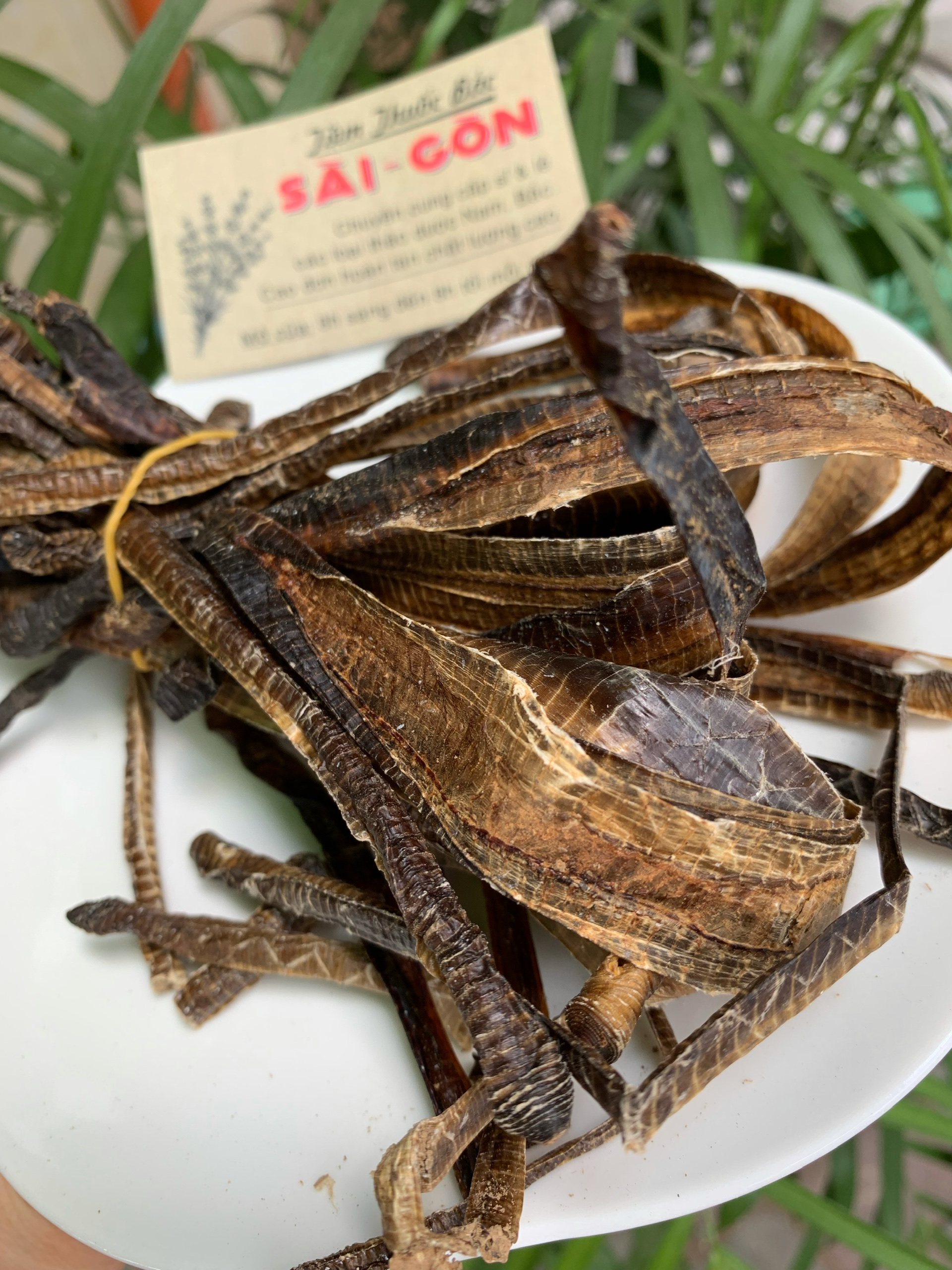 [HCM]Địa Long Khô Sạch Đẹp 100g