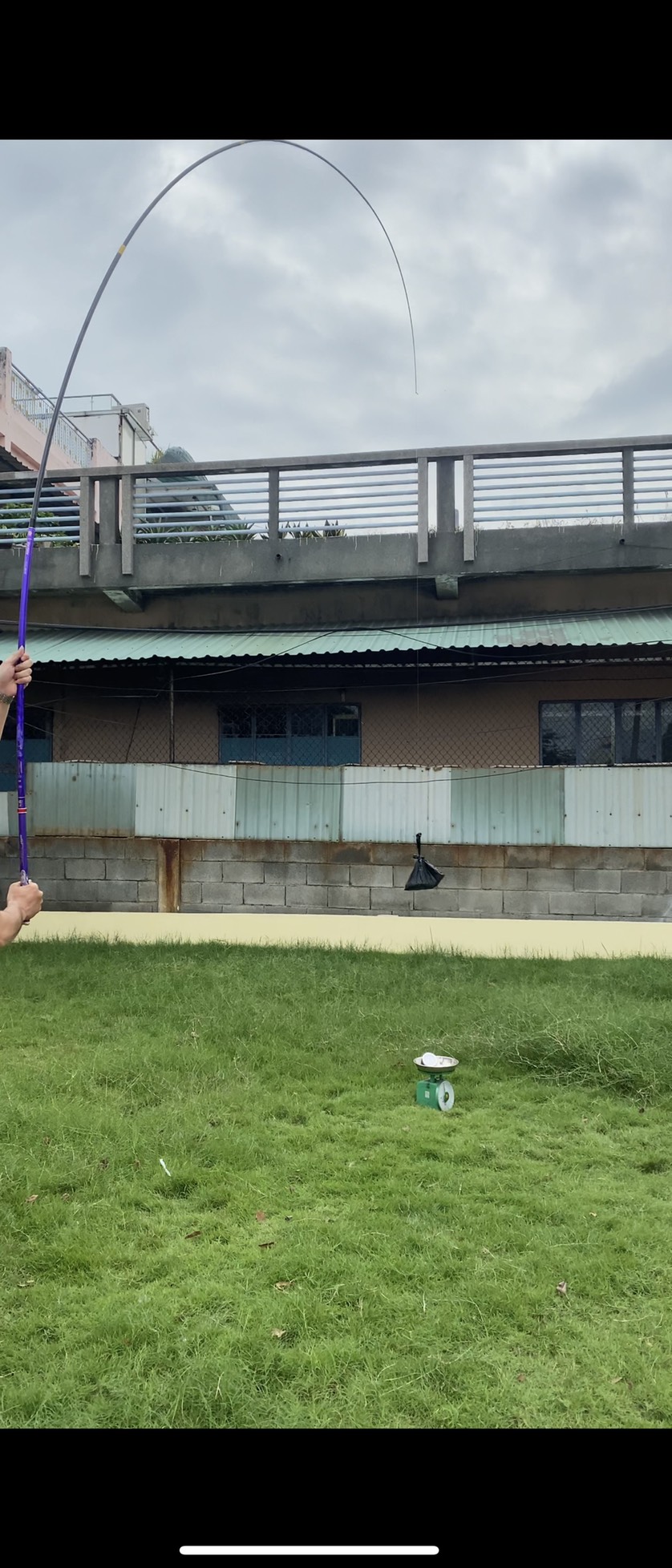 Cần Tay Guide Bashen Thắng Lợi Tím 6h