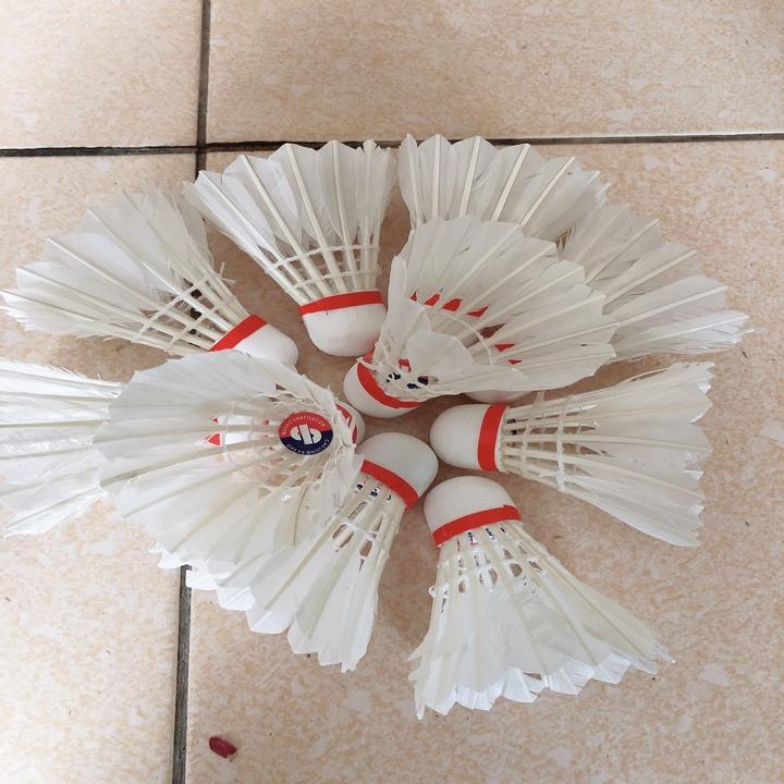 Cầu Lông Ba Sao Hộp 10 Quả