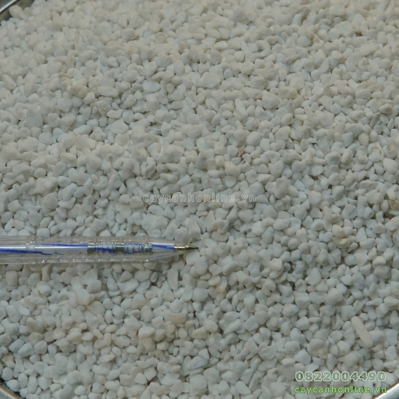 1Kg đá Perlite đá trân trâu đá núi lửa trồng cây sen đá xương rồng cây cảnh