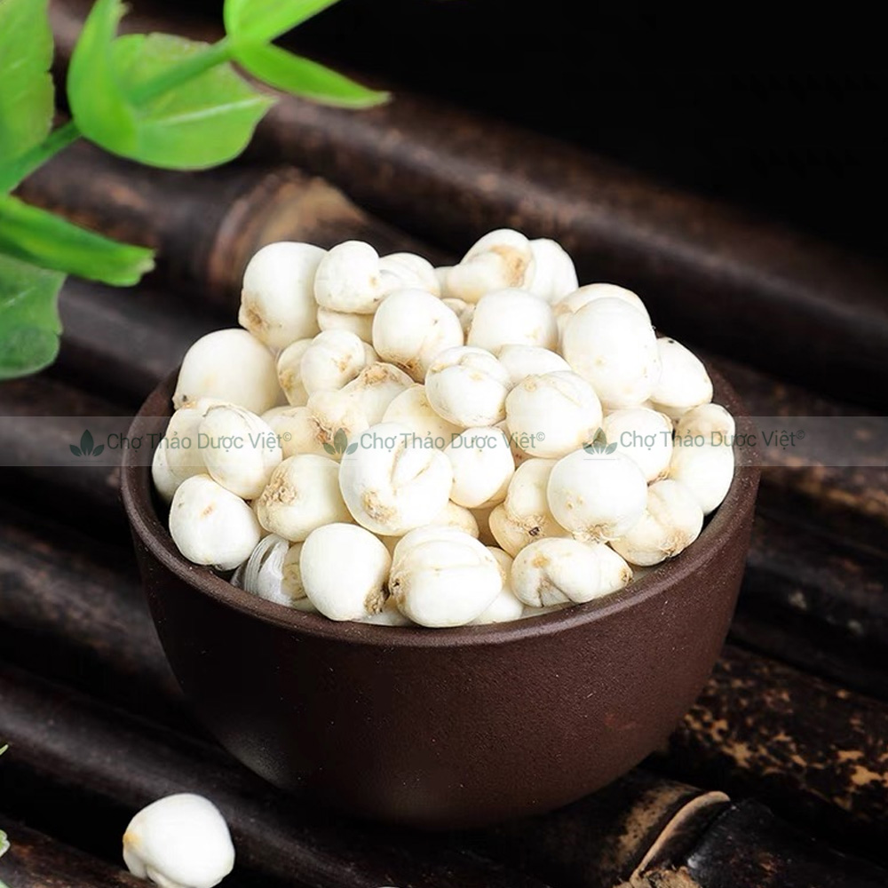 Thổ bối mẫu 100g, khô, sạch, thơm, dùng pha trà, hầm canh, hỗ trợ giảm ho đau họng, tiêu đờm, bổ phế
