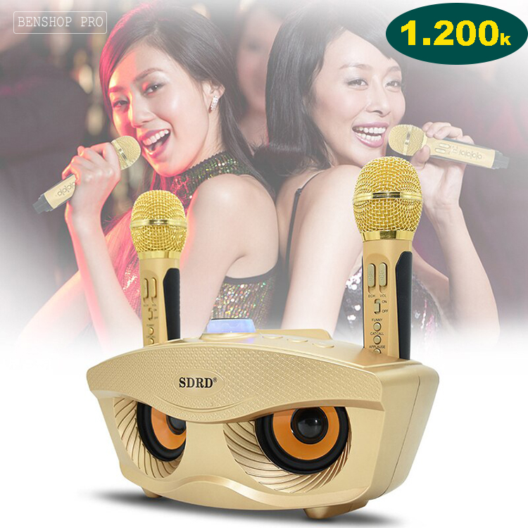 LOA KÈM MIC HÁT KARAOKE SD 306