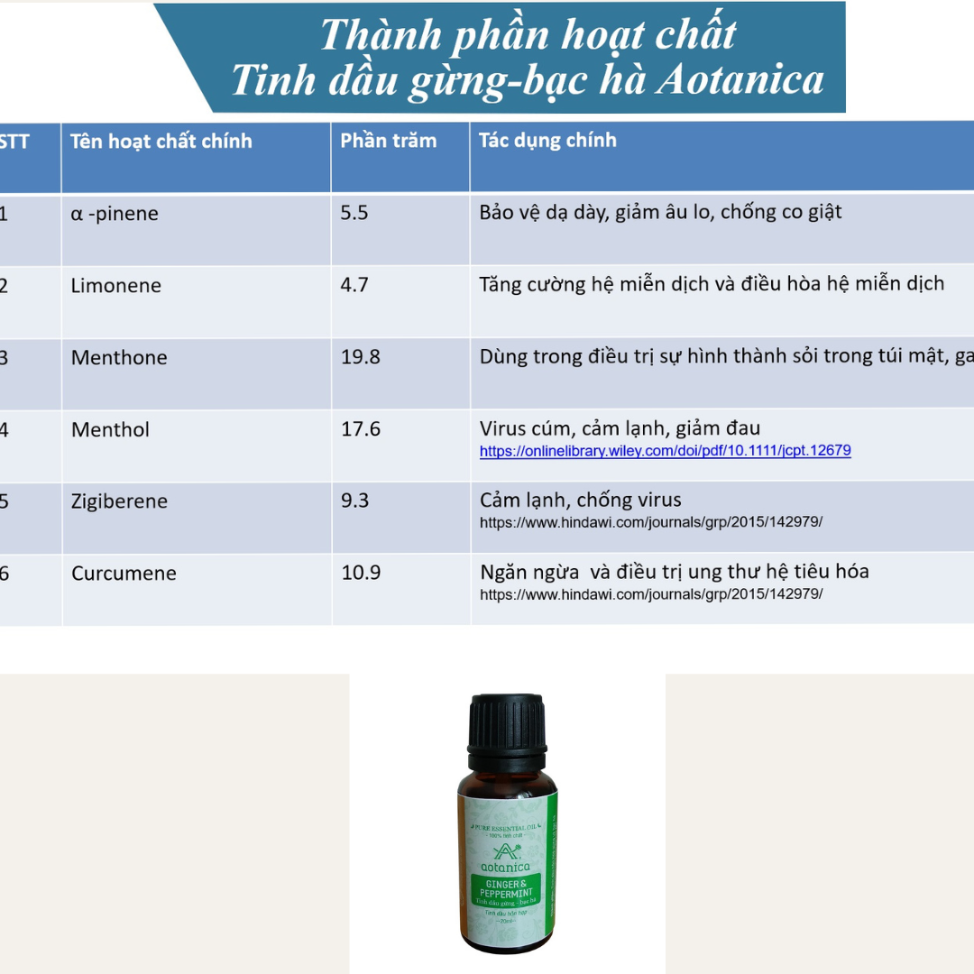 Tinh dầu Gừng – Bạc hà Aotanica 20ml
