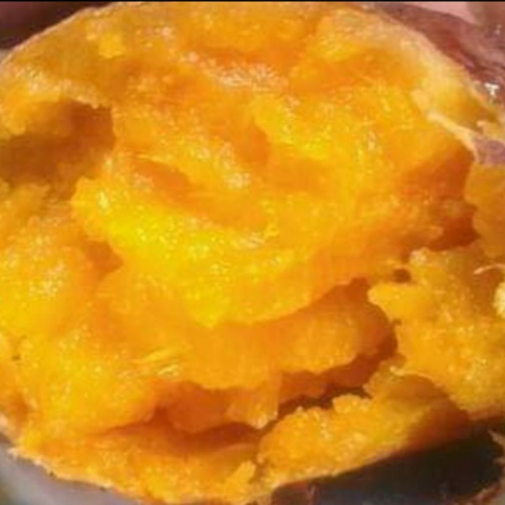 [HCM]sale combo 3 ký khoai mật loai 1- SAM LÊ SHOP