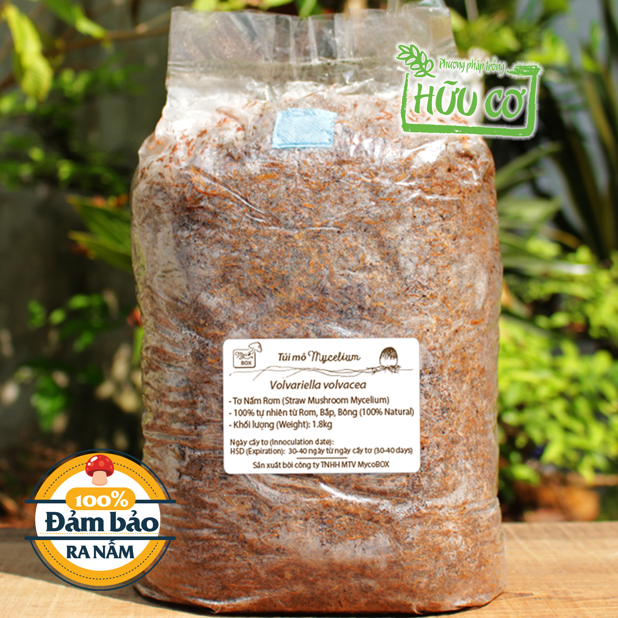 MycoBOX Straw Mushroom Spawn 2kg