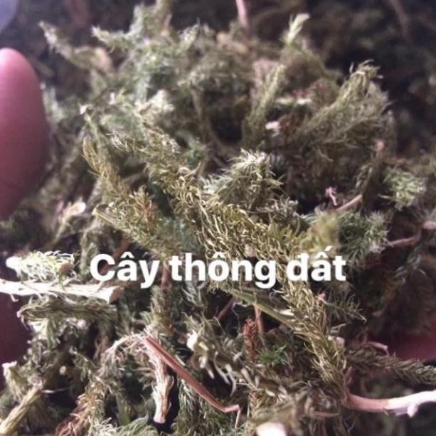 1kg cây thông đất khô hàng loại 1