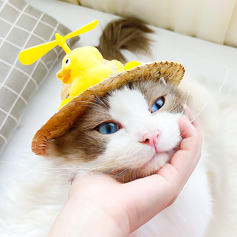 NÓN CỐI CHO CHÓ MÈO SIÊU DỄ THƯƠNG, NHIỀU MẪU