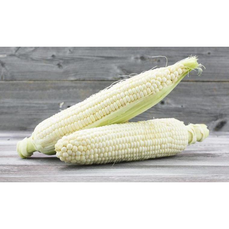 Hạt Giống Ngô Nếp Trắng - 20 Gram
