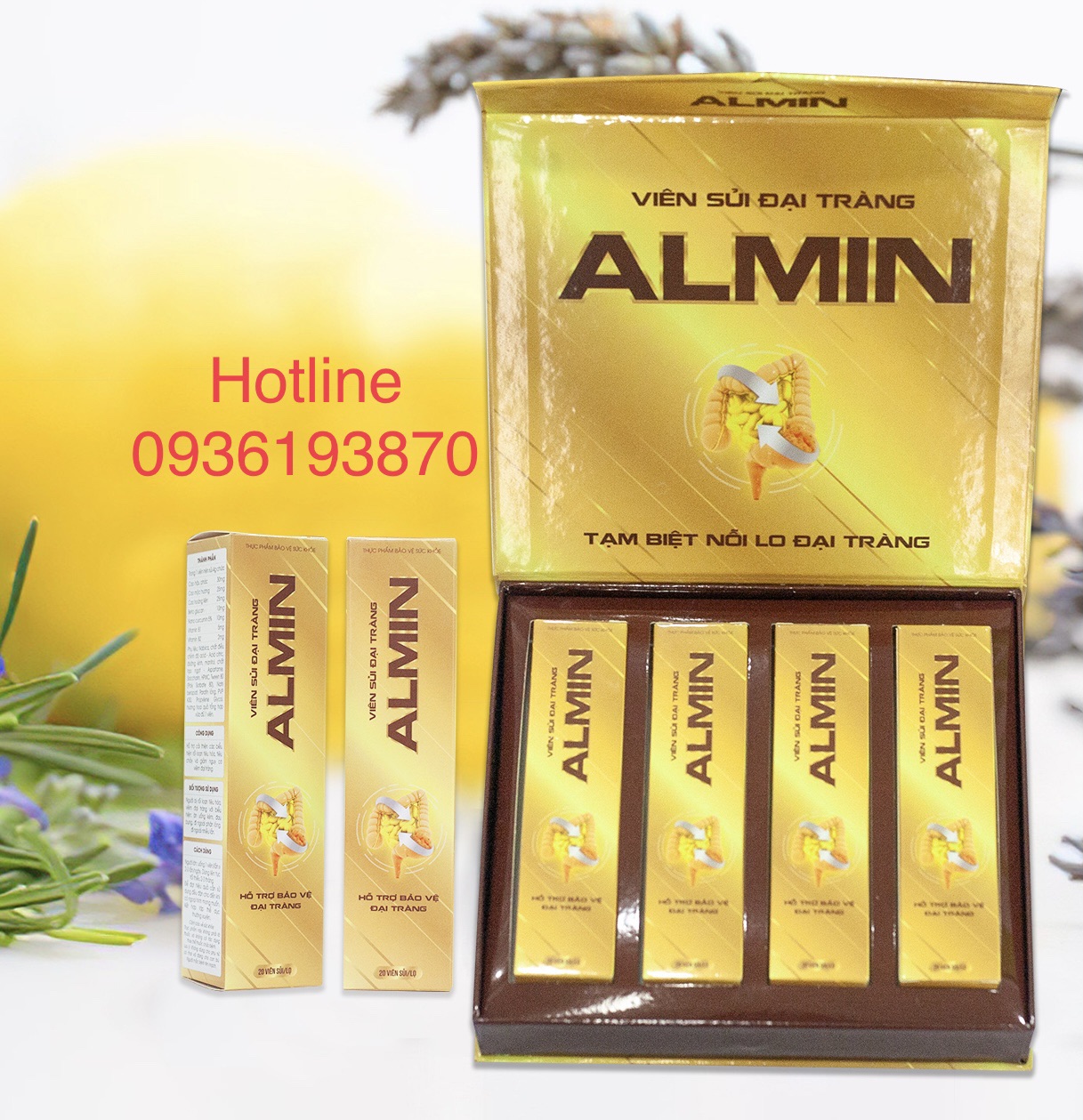 ĐẠI TRÀNG ALMIN