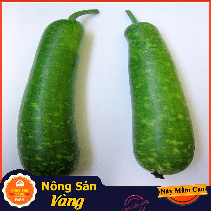 Monolithic beads gourd seeds (pack of 10 seeds)-shallow yellow