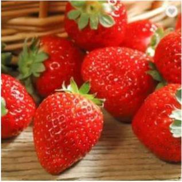 Hạt Giống Dâu Tây Alibaba - Gói 50 Hạt