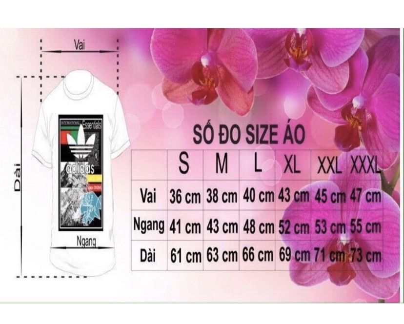 [HCM]Áo thun nam nữ ách bít big size