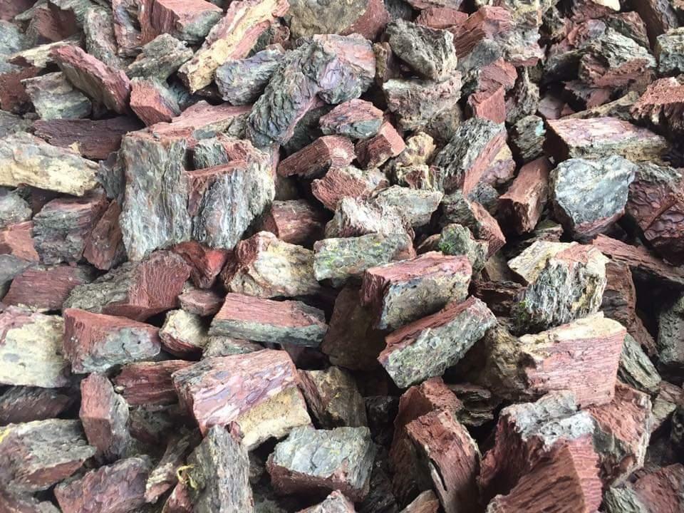 5kg vỏ thông
