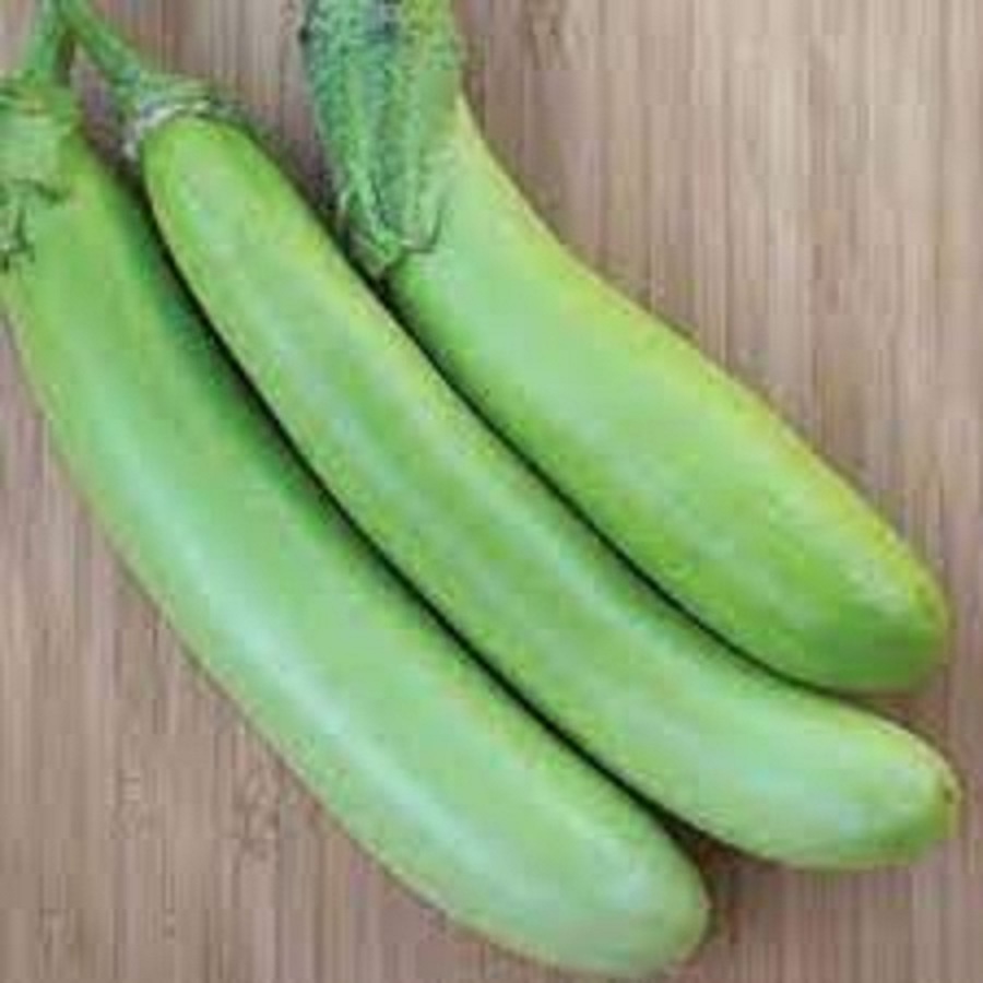 Hạt giống cà xanh dài lai-gói 2gram