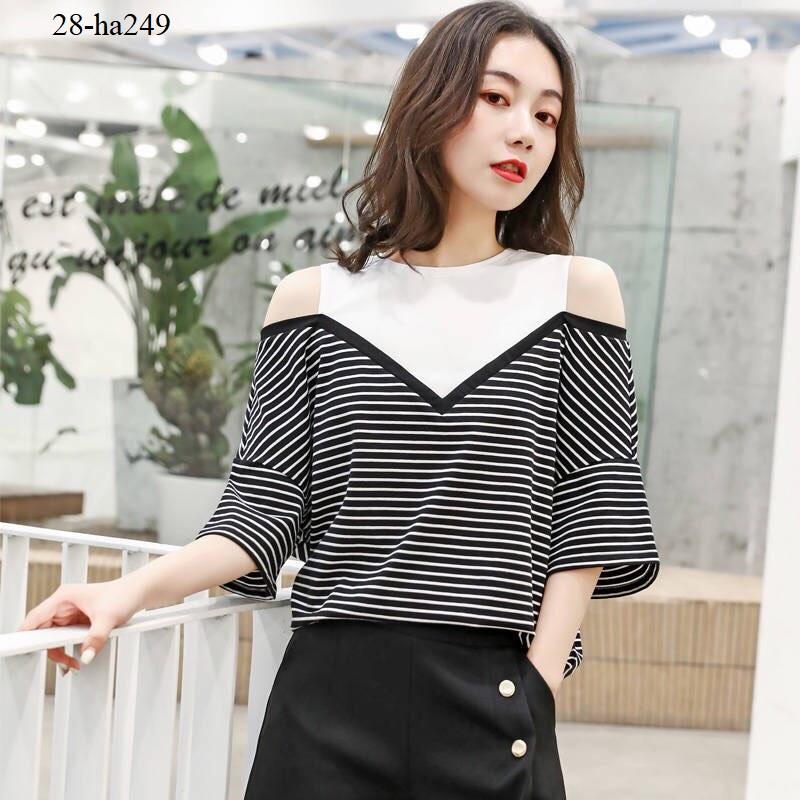 ha249- Áo thiết kế phối màu cao cấp