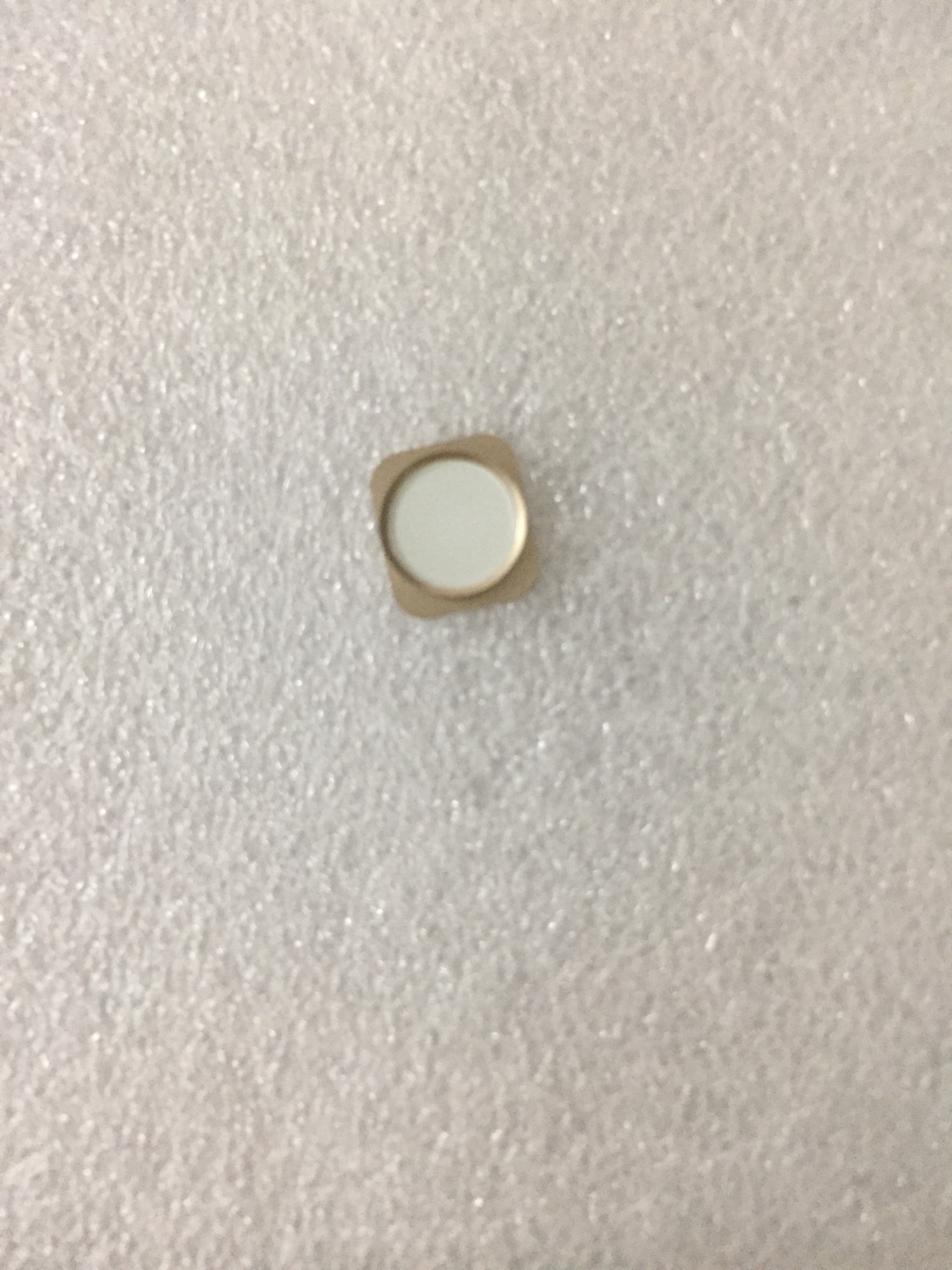 Nút home iphone 5S