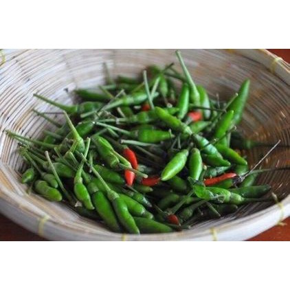 Hạt Giống Ớt Xiêm Núi Thái Lan