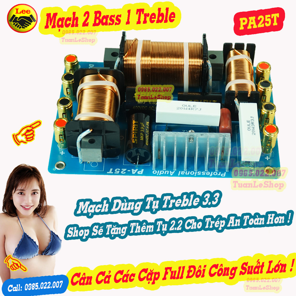 MẠCH FULL ĐÔI BASS 30,40,50 - MẠCH PHÂN TẦN 2 BASS 1 TREBLE PA25T  - GIÁ 2 MẠCH - MẠCH LOA BASS ĐÔI CÔNG SUẤT LỚN