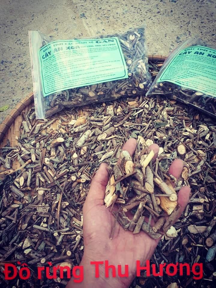 Cây An Xoa ( combo 3kg dùng liệu trình 1 tháng )