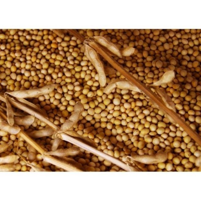 Sỉ toàn quốc 3kg đỗ tương