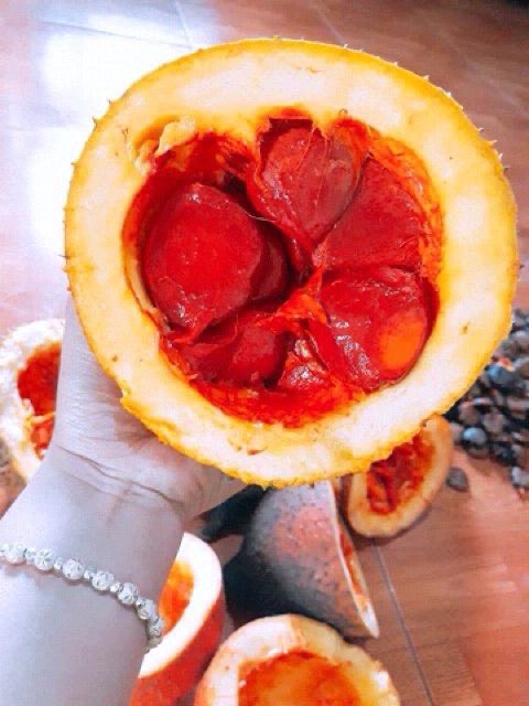 Bi lăn dầu gấc cho môi đỏ môi mềm