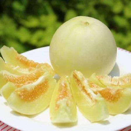 Hạt Giống Dưa Lê Sai Trái (0.5gr)
