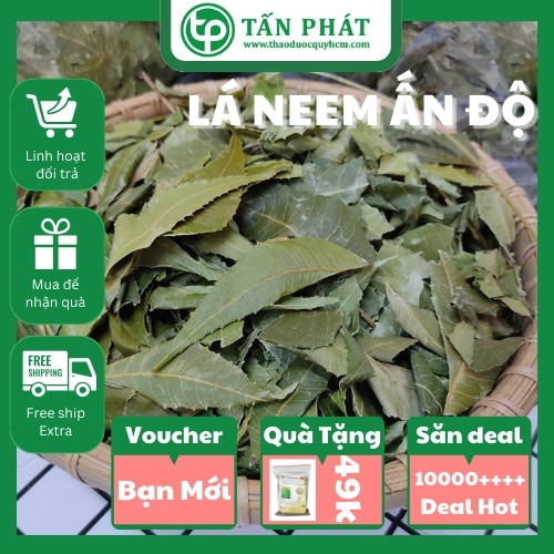 Dried Indian Neem Leaves 1kg - Specialized for Making Tea to Help Improve Liver Health - Grade 1 Product with High Quality - Tan Phat Herbal Medicine