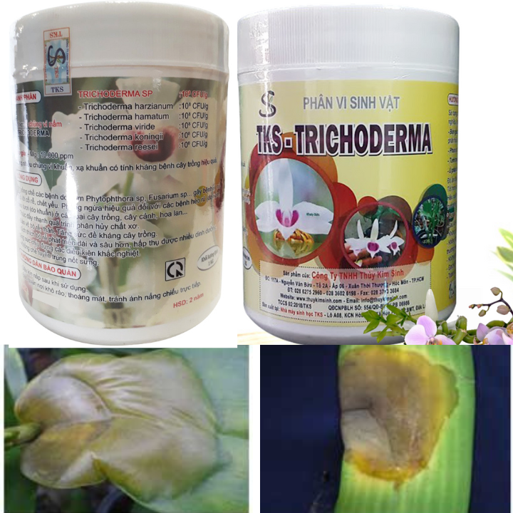 [LON 1Kg] TRICHODERMA HOA LAN Đối Kháng Nấm Bệnh - Bột Hòa Tan