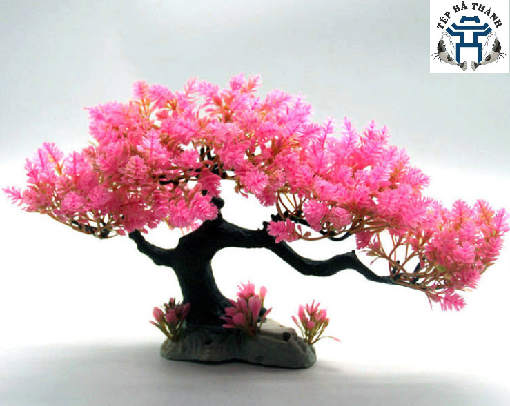 [Hoàn Tiền 10%] Lũa Bonsai Mini Trang Trí Bể Cá - Bể Thủy Sinh (D:20cm C: 15cm)