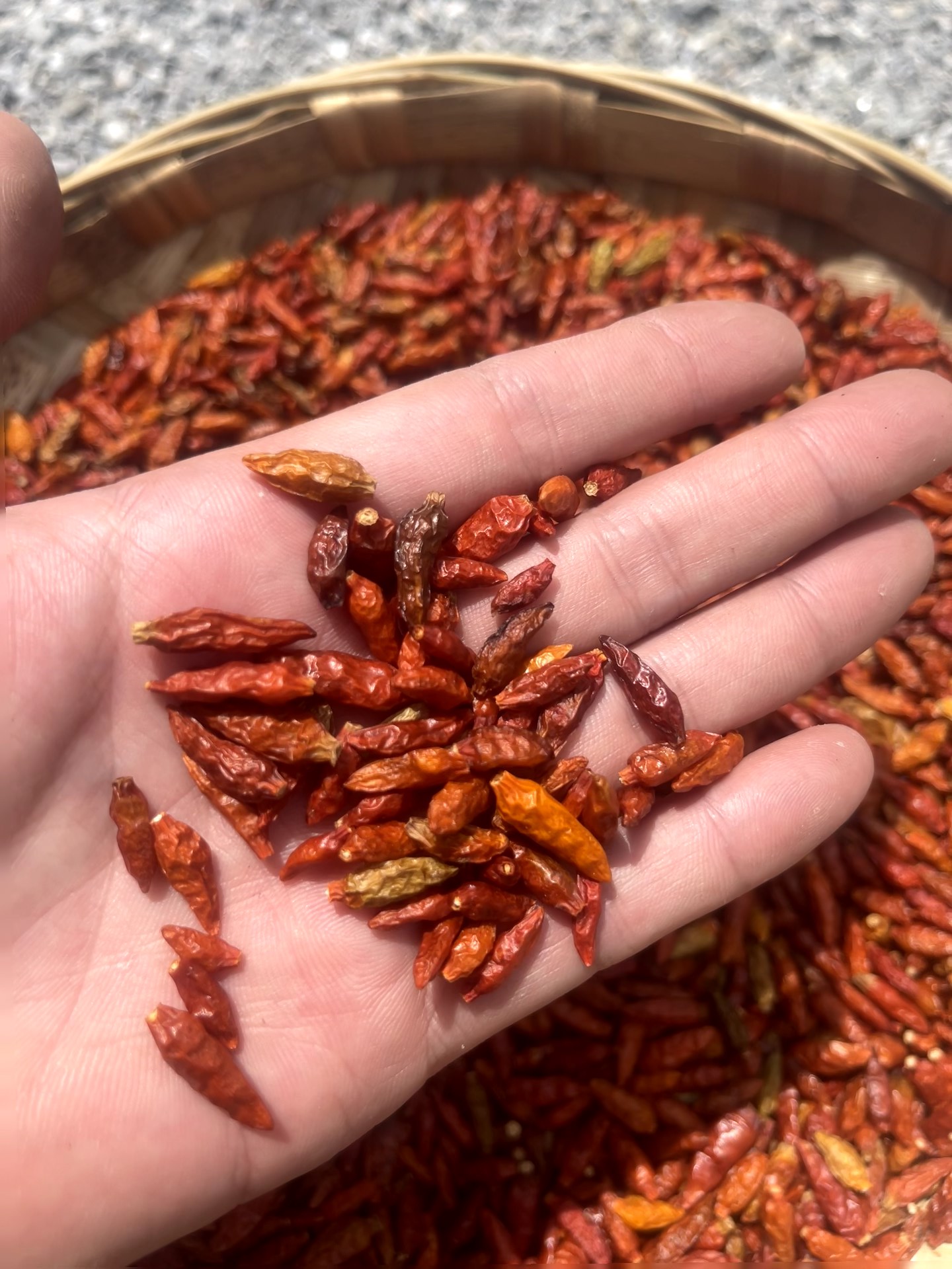 Bột Ớt Gió HÀ GIANG Siêu Cay