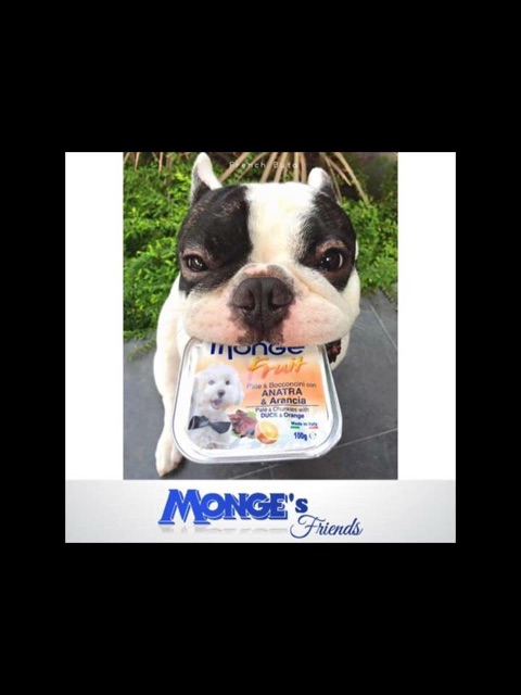 Pate Monge 🇮🇹💯% Made in Ý🇮🇹 cho chó mèo