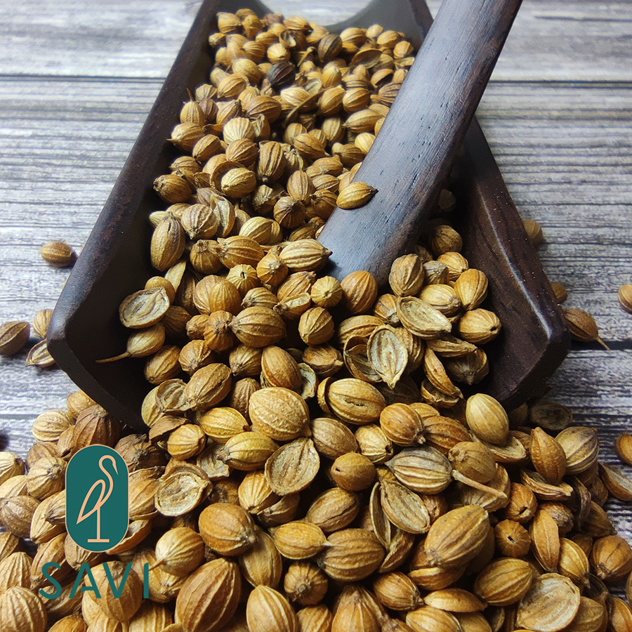 Hạt Ngò / Hạt Mùi Cao Cấp - High Quality Coriander